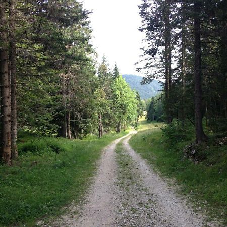 Beau Site Appartement Villard-de-Lans Buitenkant foto